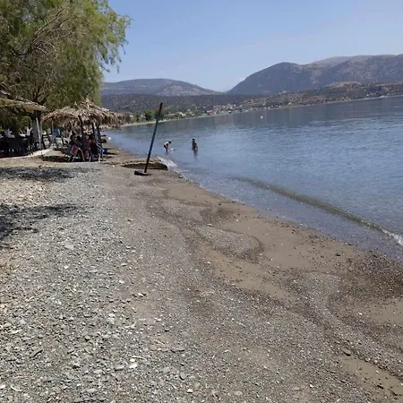 το πιθάρι Διαμέρισμα Τολοφώνας